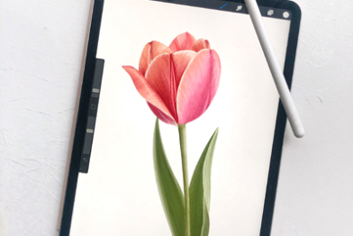 Procreate10