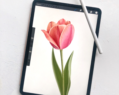 Procreate10