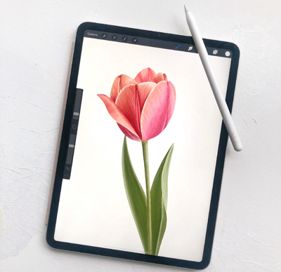 Procreate10