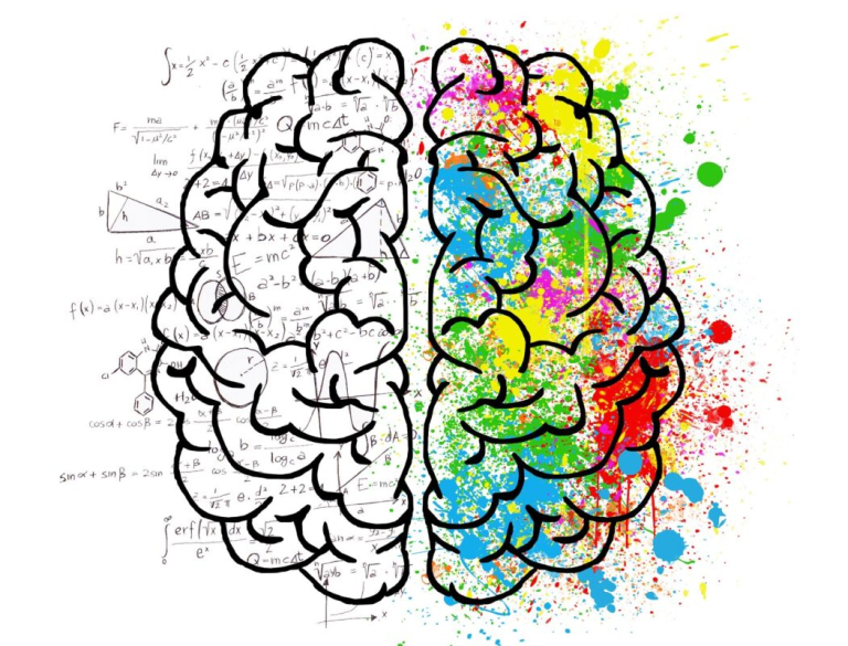 brain-2062057_1920-1051×800
